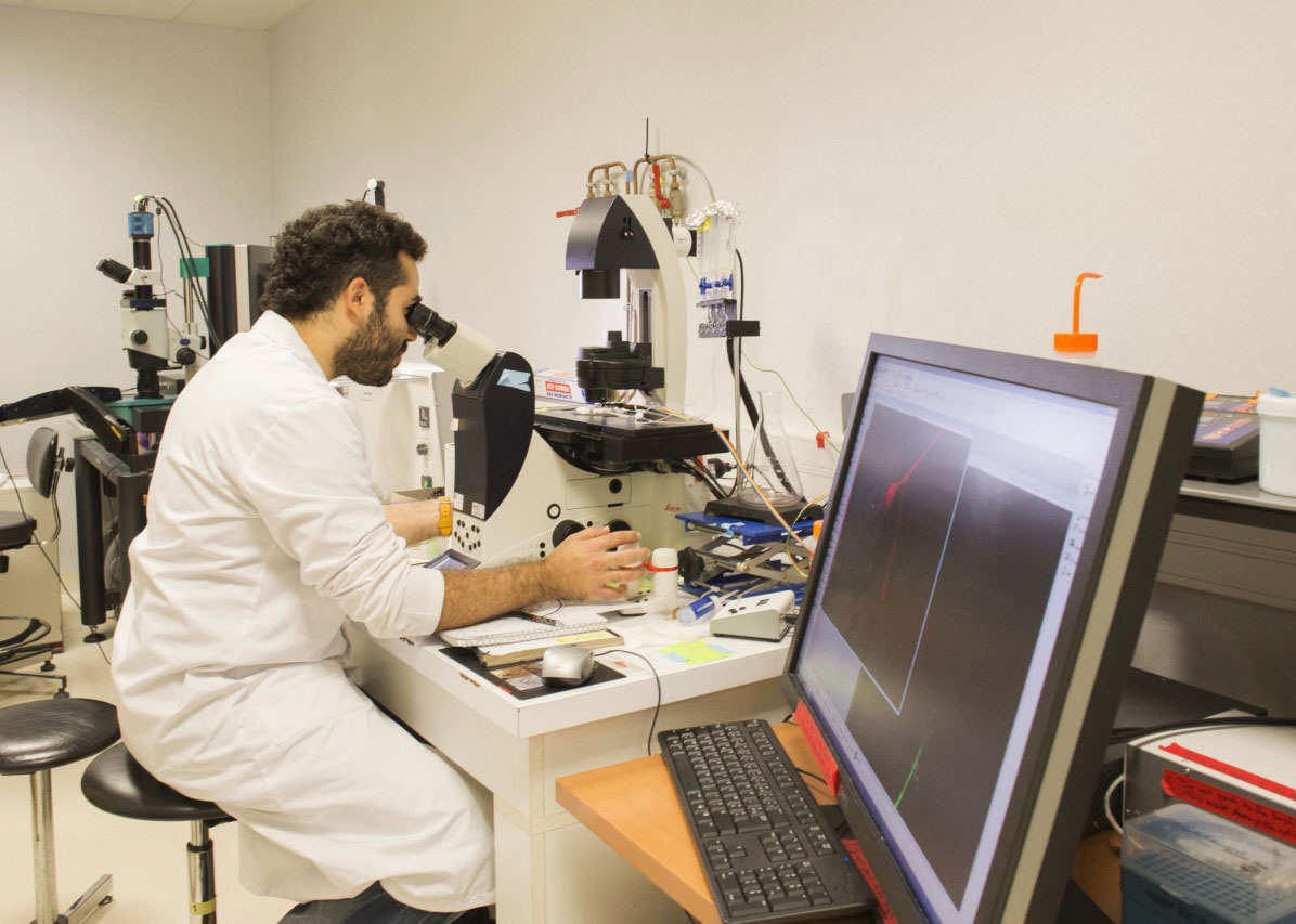 lescannesblanches.com - la recherche scientifique pour la régénération du nerf optique