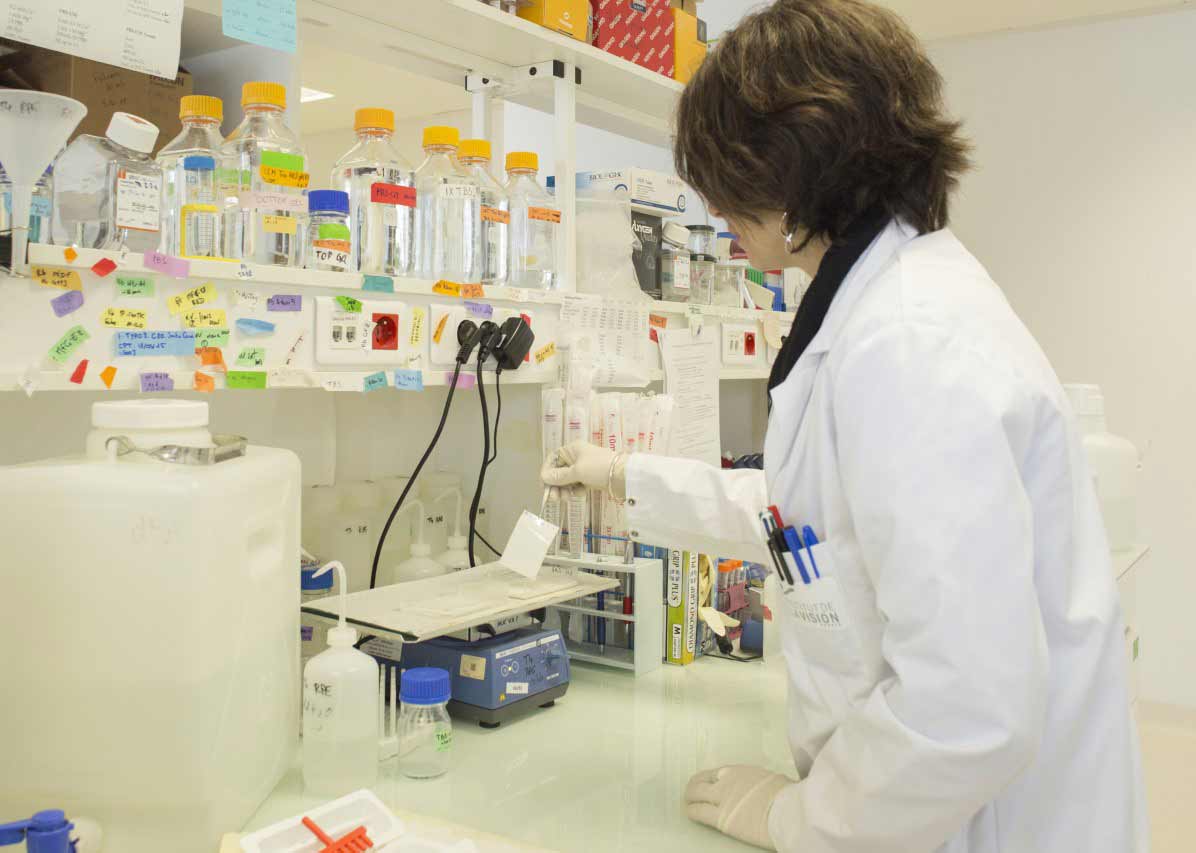 lescannesblanches.com - soutient l’Institut de la Vision en vue de l'améliorations significatives des pathologies visuelles